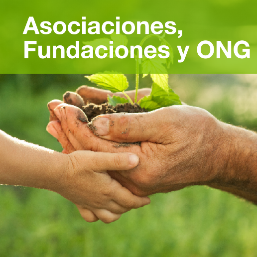 ONG y Sustentabilidad